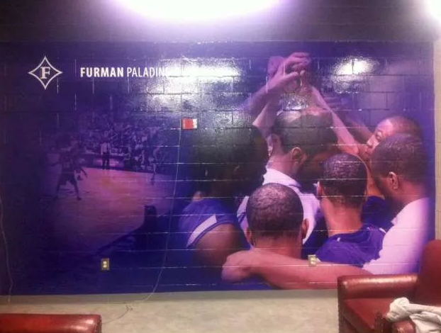 FURMAN PALADINS
3M Textured Vinyls