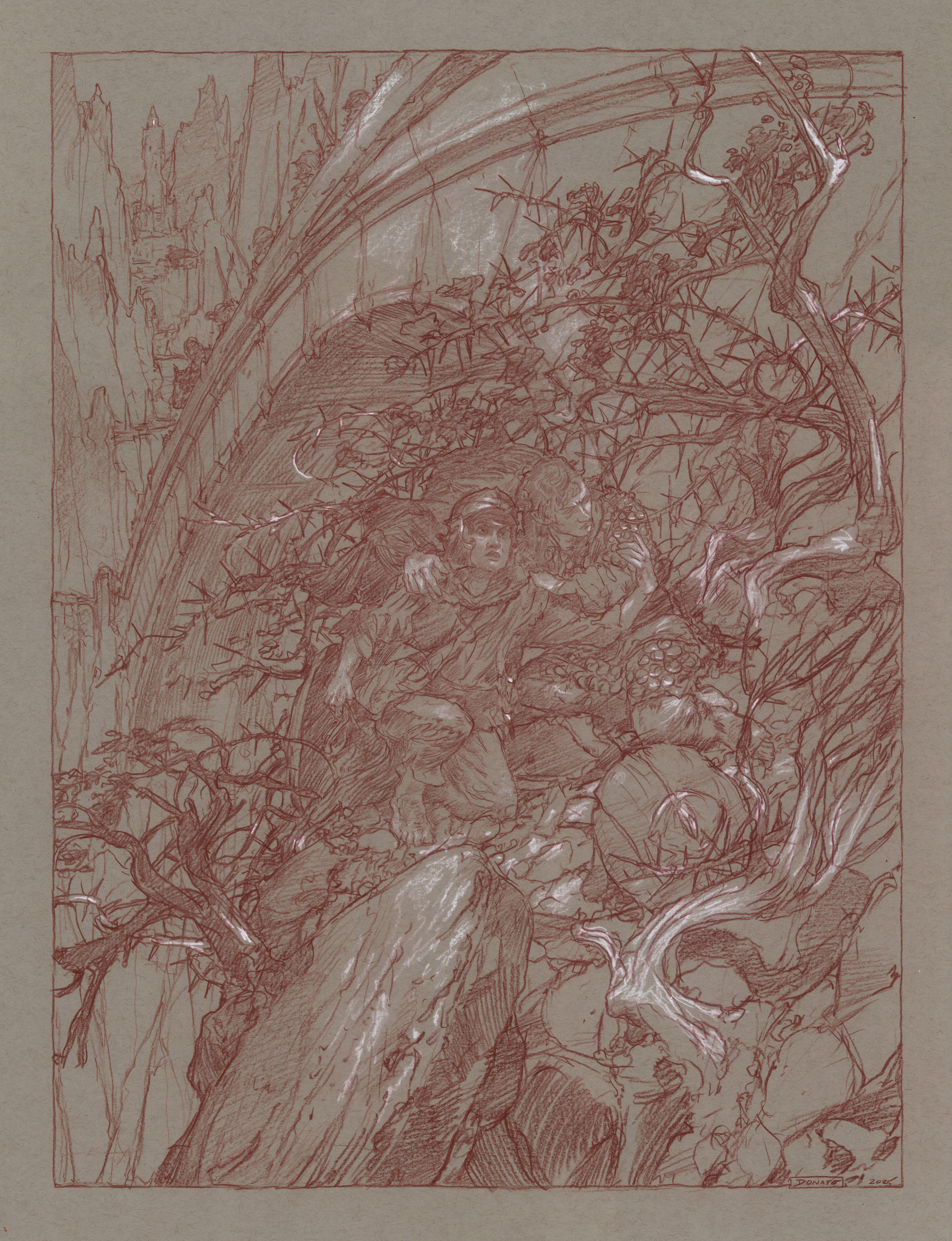 Morgai Thorns
24" x 18" 
watercolor pencil and chalk  2025