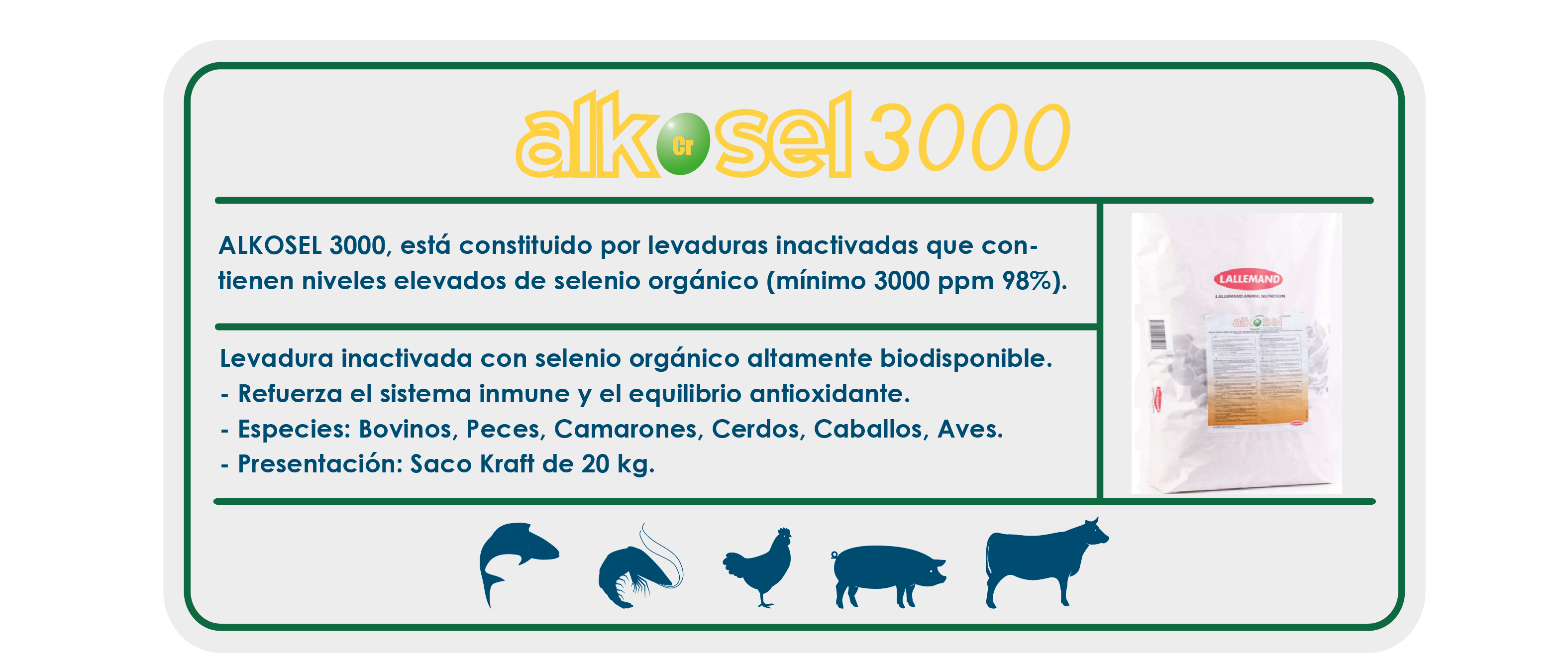https://0201.nccdn.net/1_2/000/000/0da/bb9/ficha_ecommerce-06.png