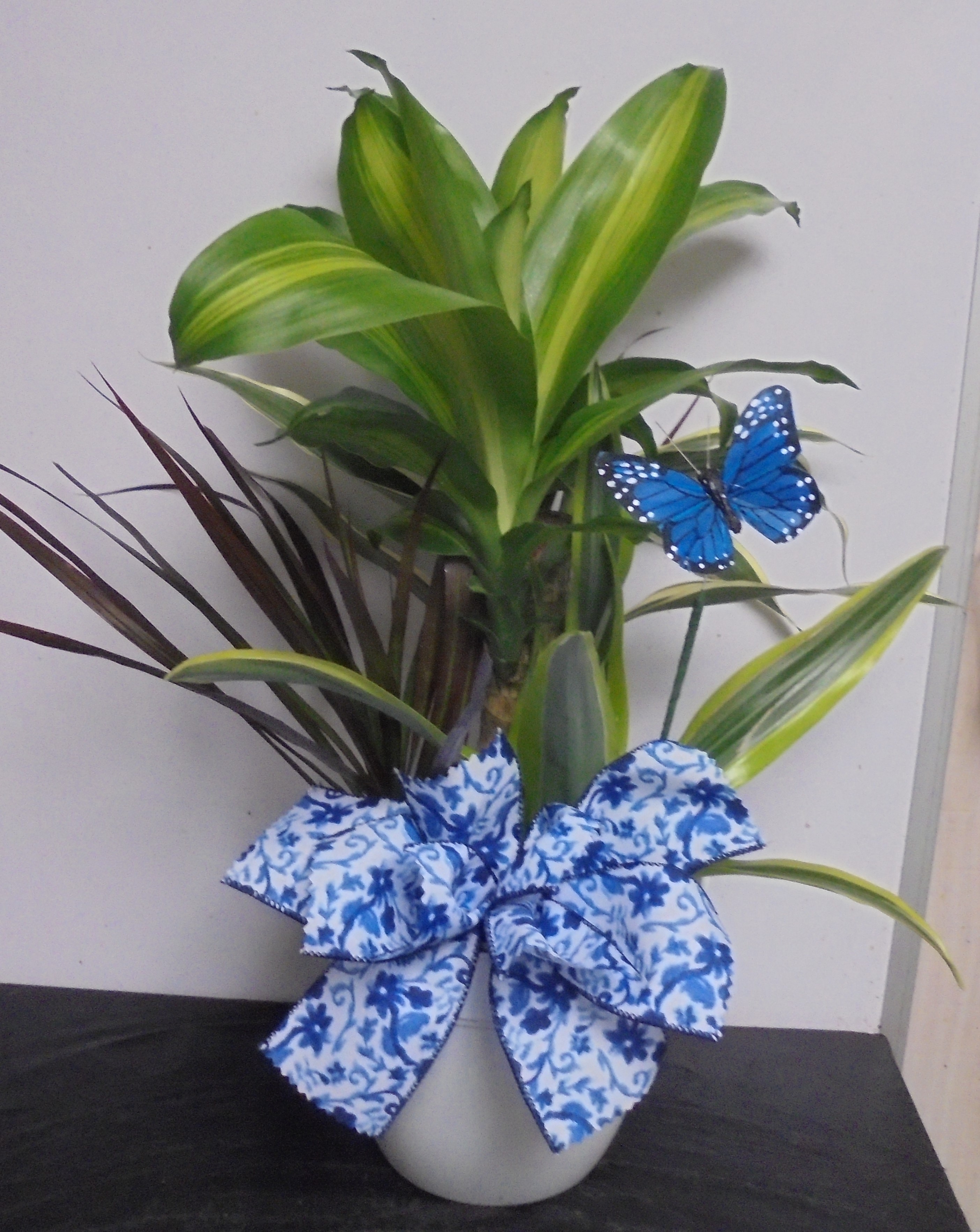 (15) "Combo" Plant
W/ Butterfly
$45.00