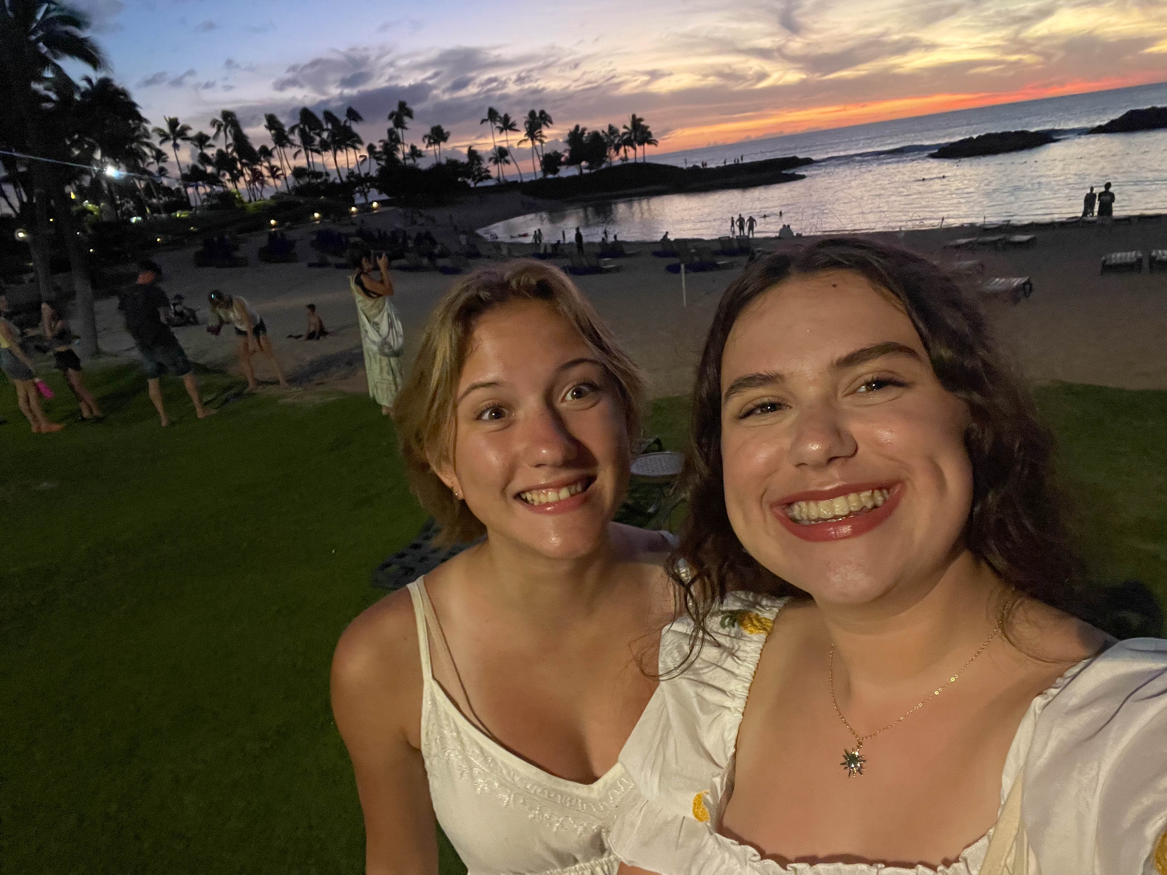 https://0201.nccdn.net/1_2/000/000/0db/036/hawaii-order-130.jpg