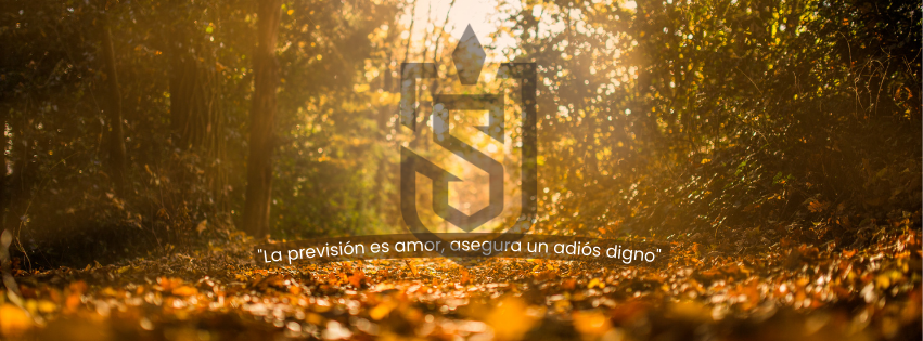 (##AI##(aboutUs.image2.alt)##AI##)
