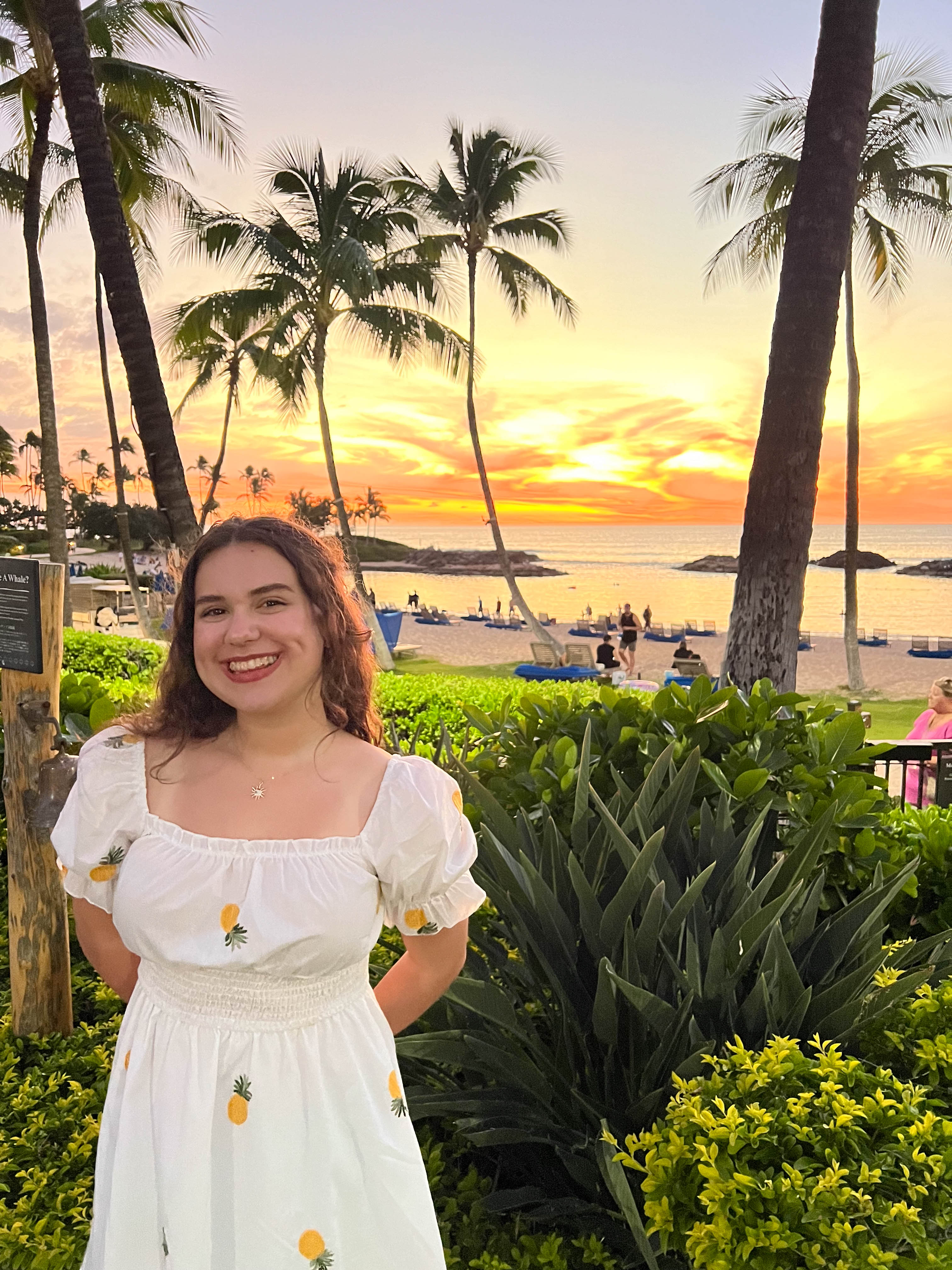https://0201.nccdn.net/1_2/000/000/0db/266/hawaii-order-122.jpg