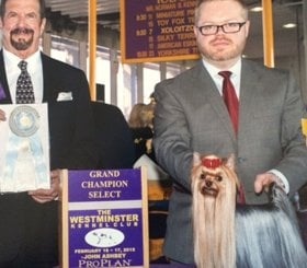 The Westminster Kennel Club Grand Champion