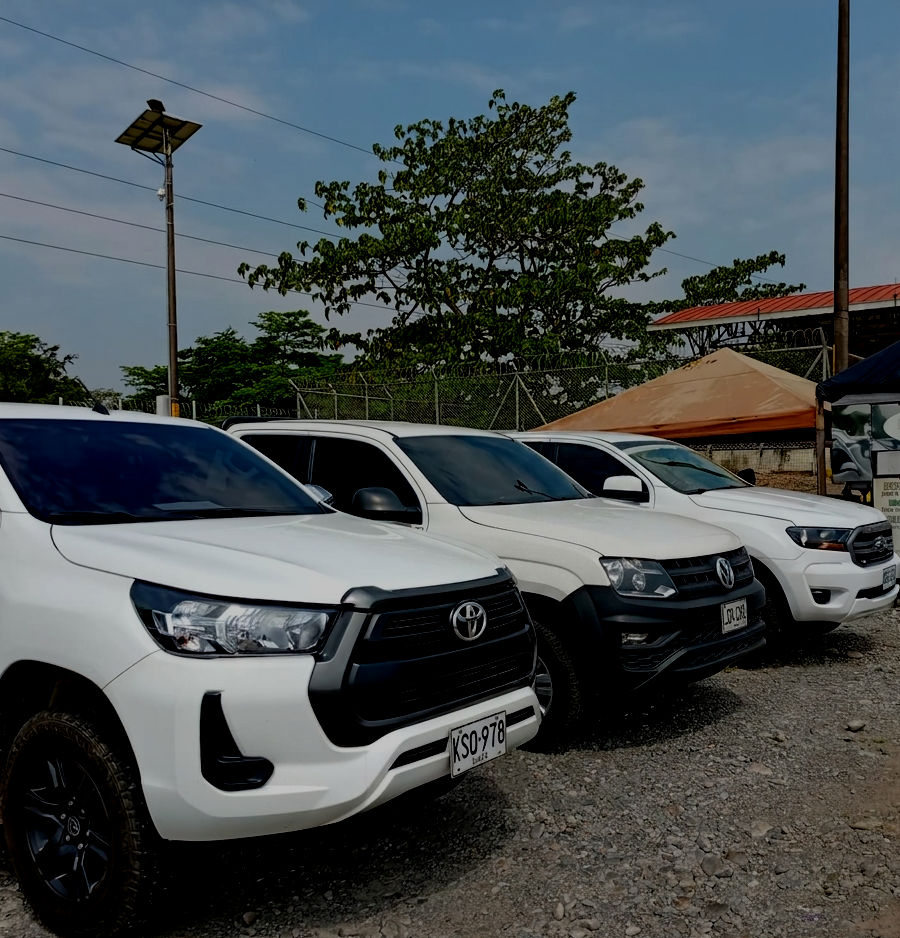 SUV Renault Duster blanca estacionada bajo árboles en parqueadero, con otros vehículos al fondo SUV Renault Duster blanca estacionada bajo árboles en parqueadero, con otros vehículos al fondo