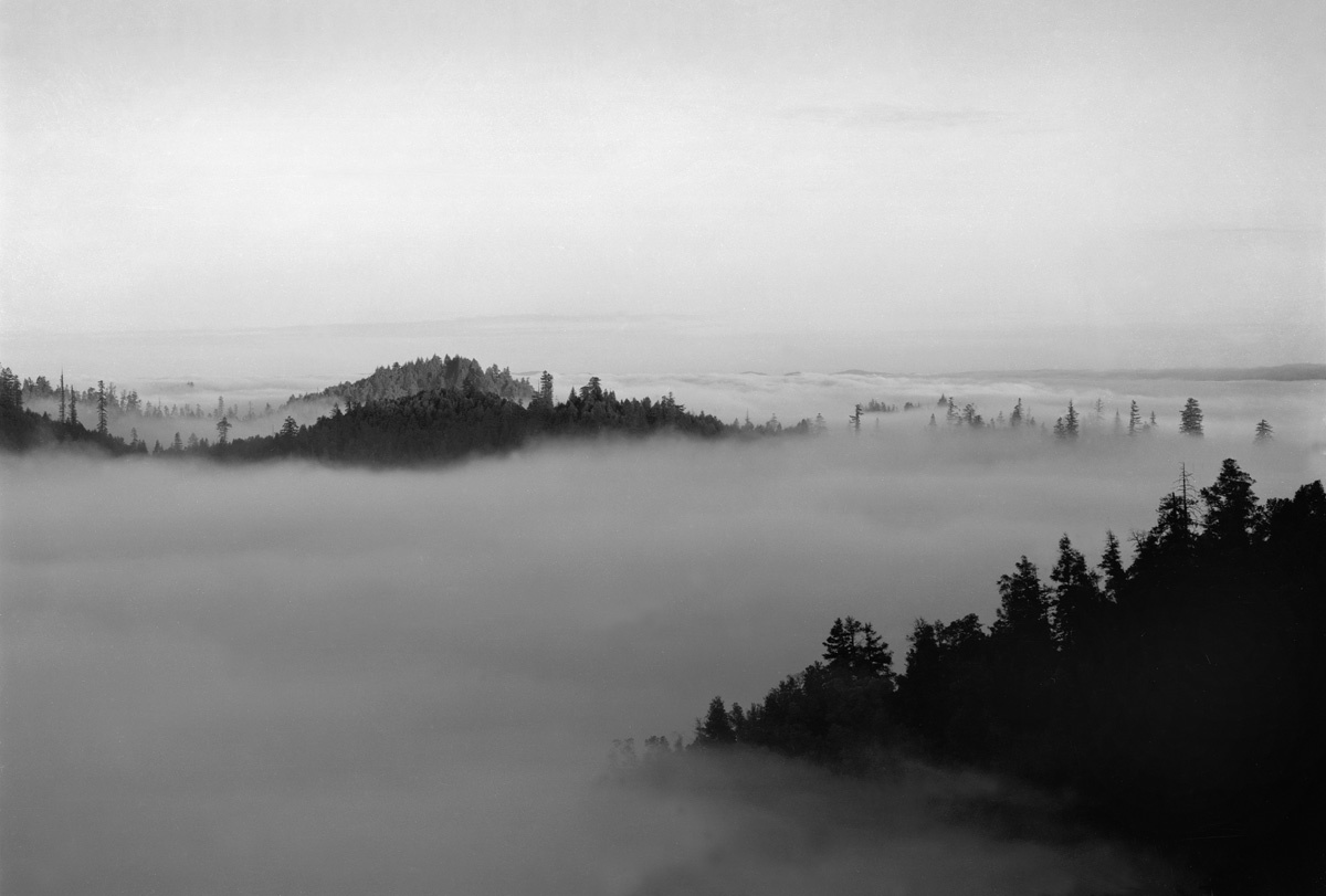King Range Fog Bank