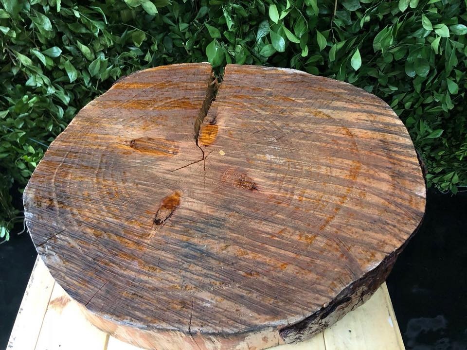 Tronco Grande 
$10.000