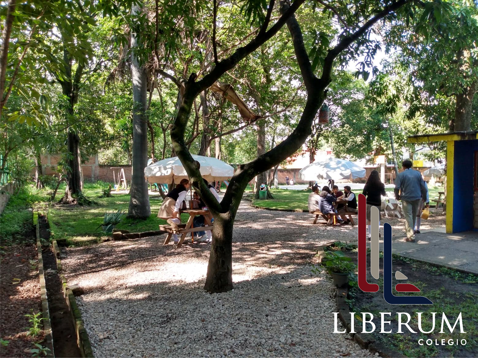 Áreas de convivencia amplias y al aire libre