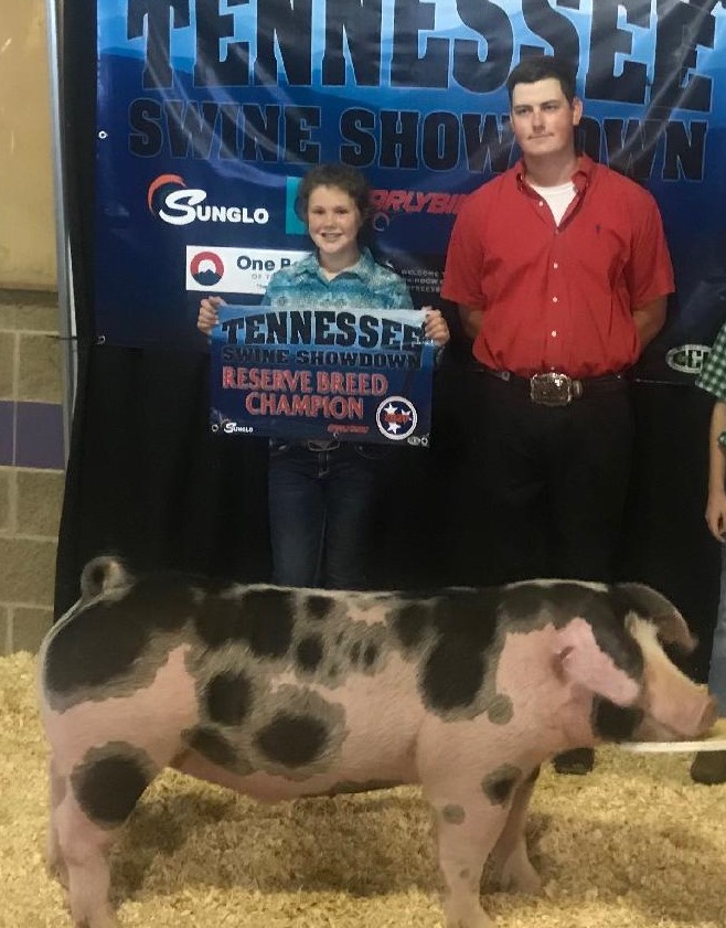 Snowie Halsell
2020 Tennessee Swine Showdown
Reserve Champion Spot Barrow