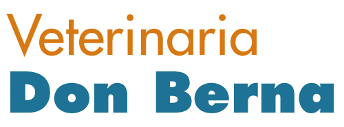 Clínica veterinaria – Veterinaria Don Berna – Loreto