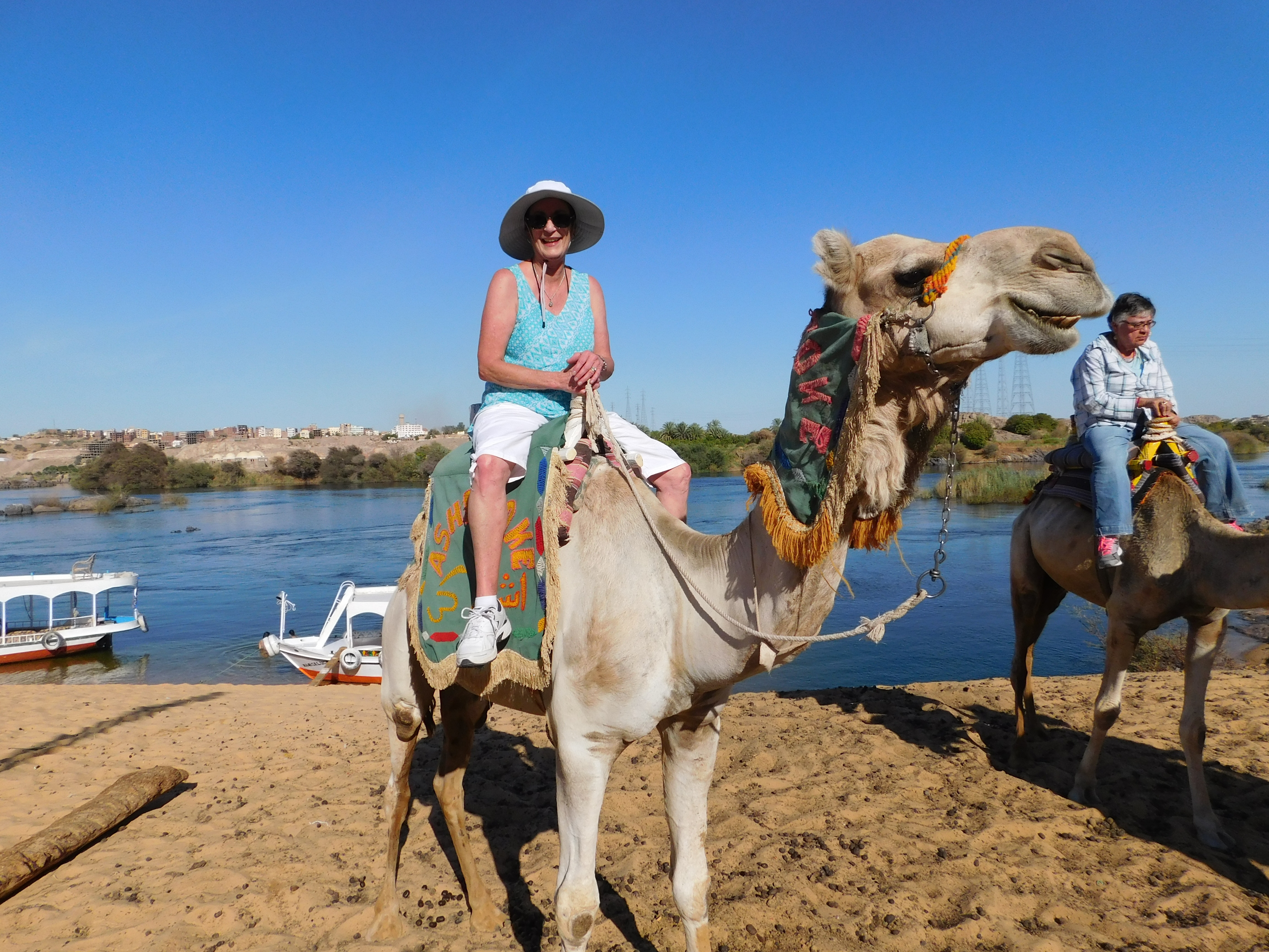 Camel ride on shore
of the Nile River