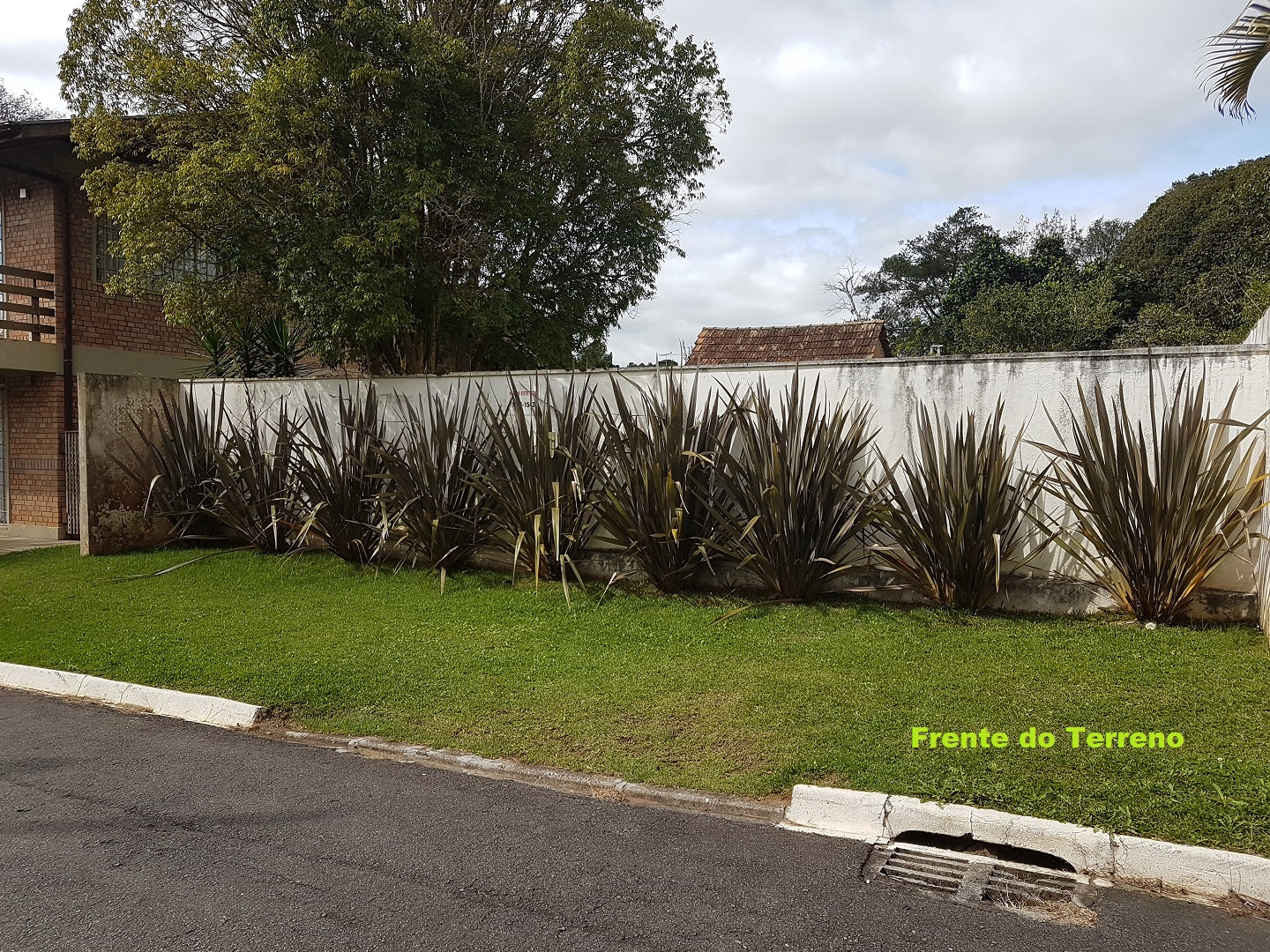 Muro frontal do terreno