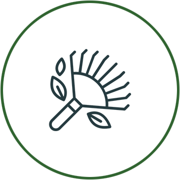 Yard Cleanup Services