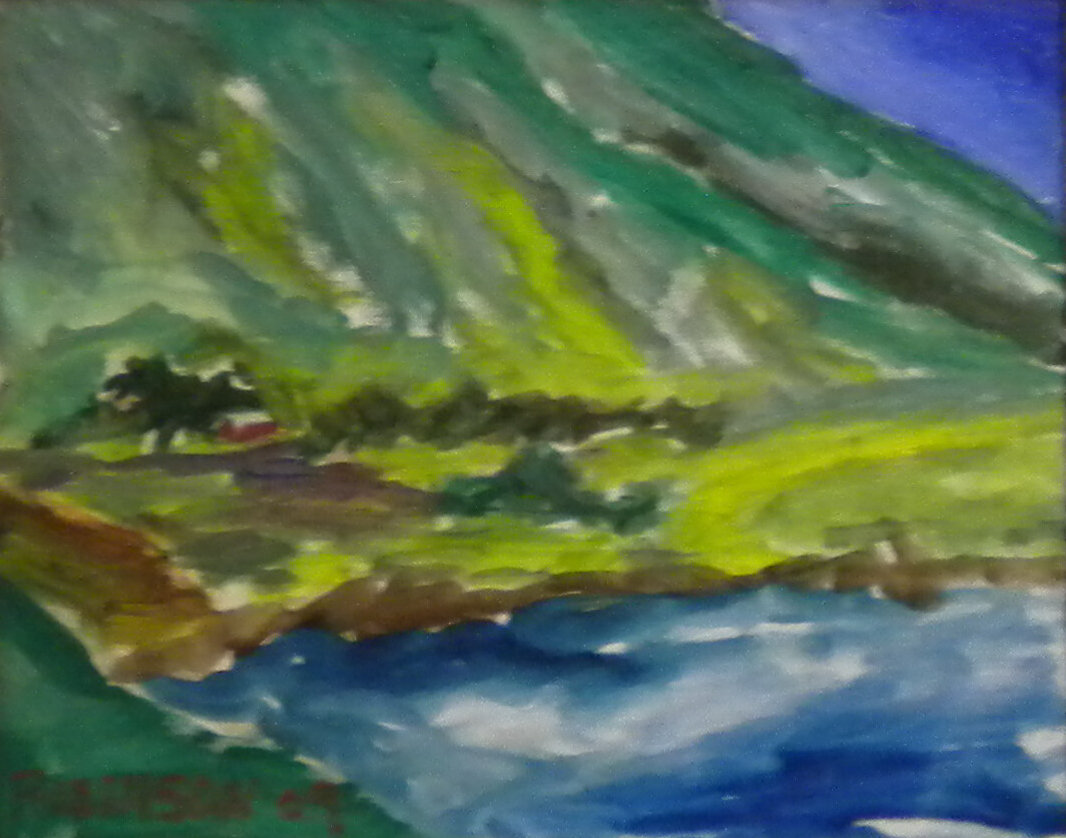 Op-052 GARAPATA VIEW 8 in x 10 in Oil on Canvas 2009