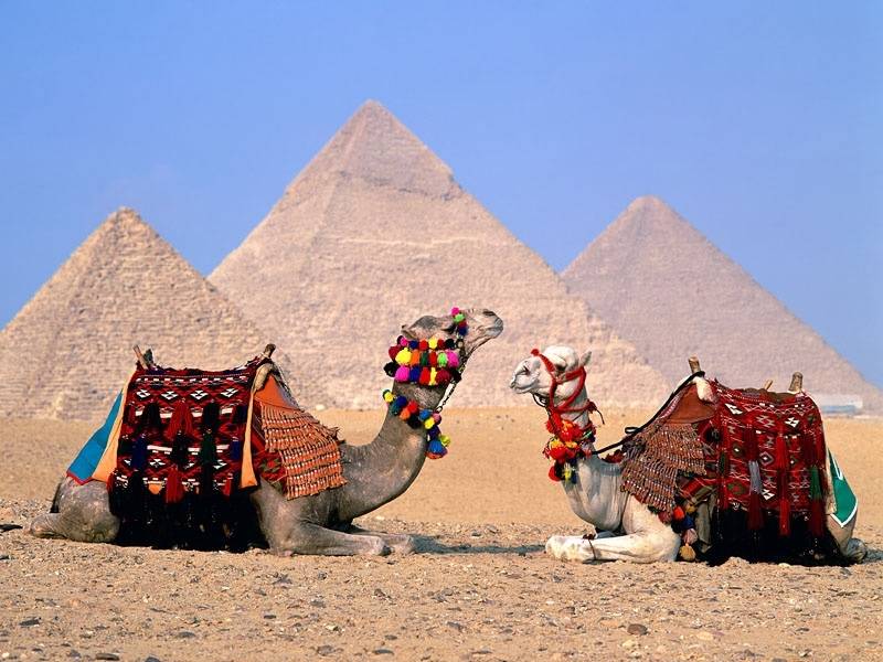https://0201.nccdn.net/1_2/000/000/0dc/8c6/sharm.jpg