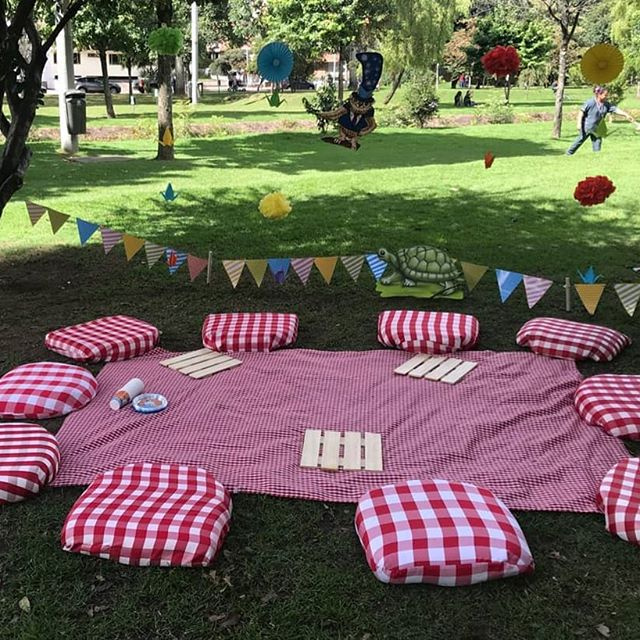 Cojines a Cuadros
Medidas 50x50cm
$5.000 Alquiler