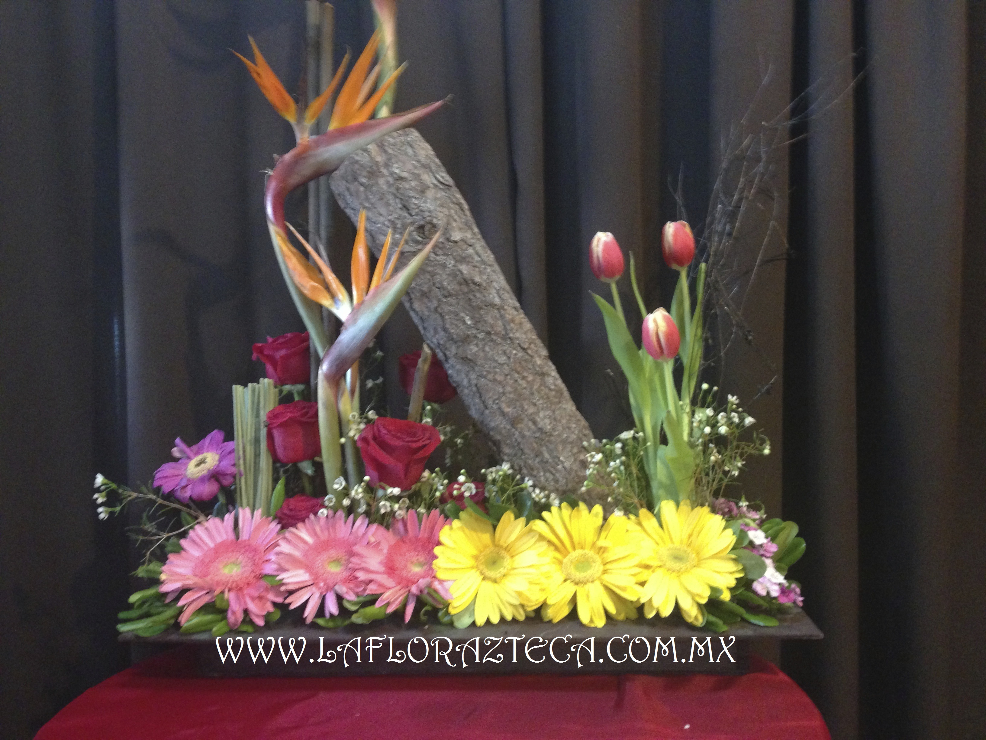 LFA-DA012
Precio $1,680