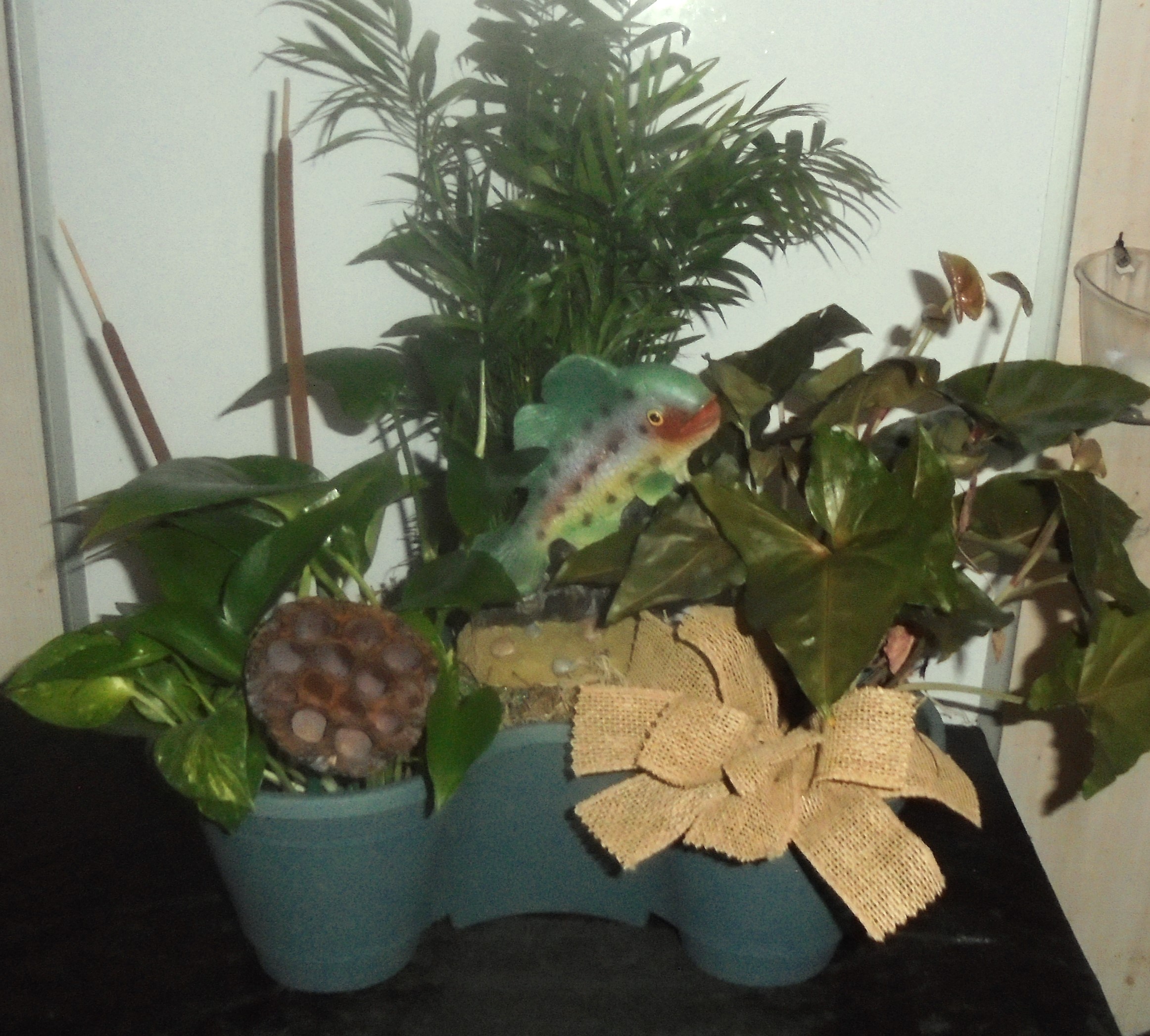 (5)  "Three" Plant Combo
With Fish
$50.00