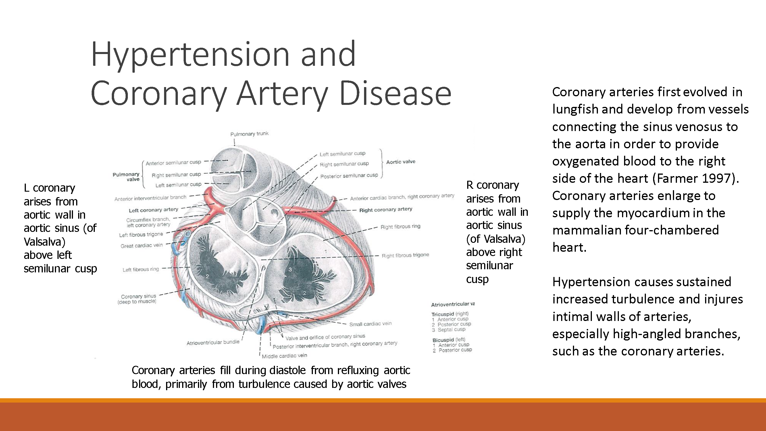 https://0201.nccdn.net/1_2/000/000/0dd/3a4/boaz---evolutionary-medicine-why-are-you-normal-04.16.21_page_29.png