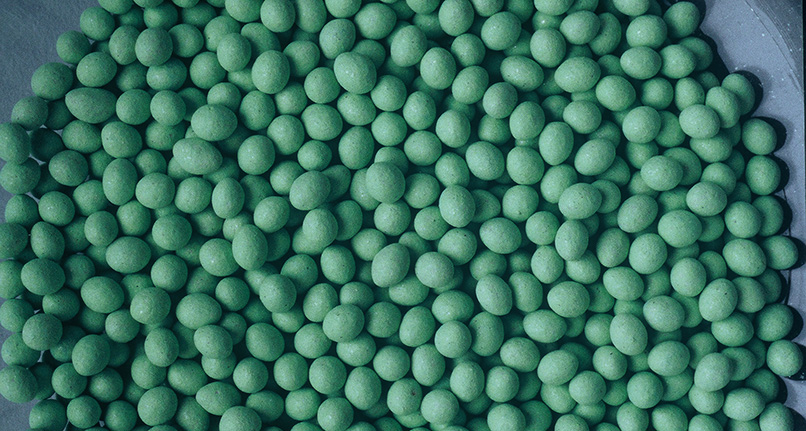 https://0201.nccdn.net/1_2/000/000/0dd/69d/green-seeds.jpg