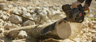 Man Cutting wood with saw Man Cutting wood with saw