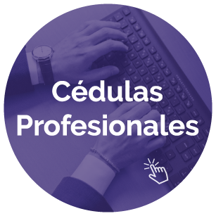https://0201.nccdn.net/1_2/000/000/0dd/fa4/WEB-ESTUDIOS-Y-SERVICIOS-sj-07-307x307.png