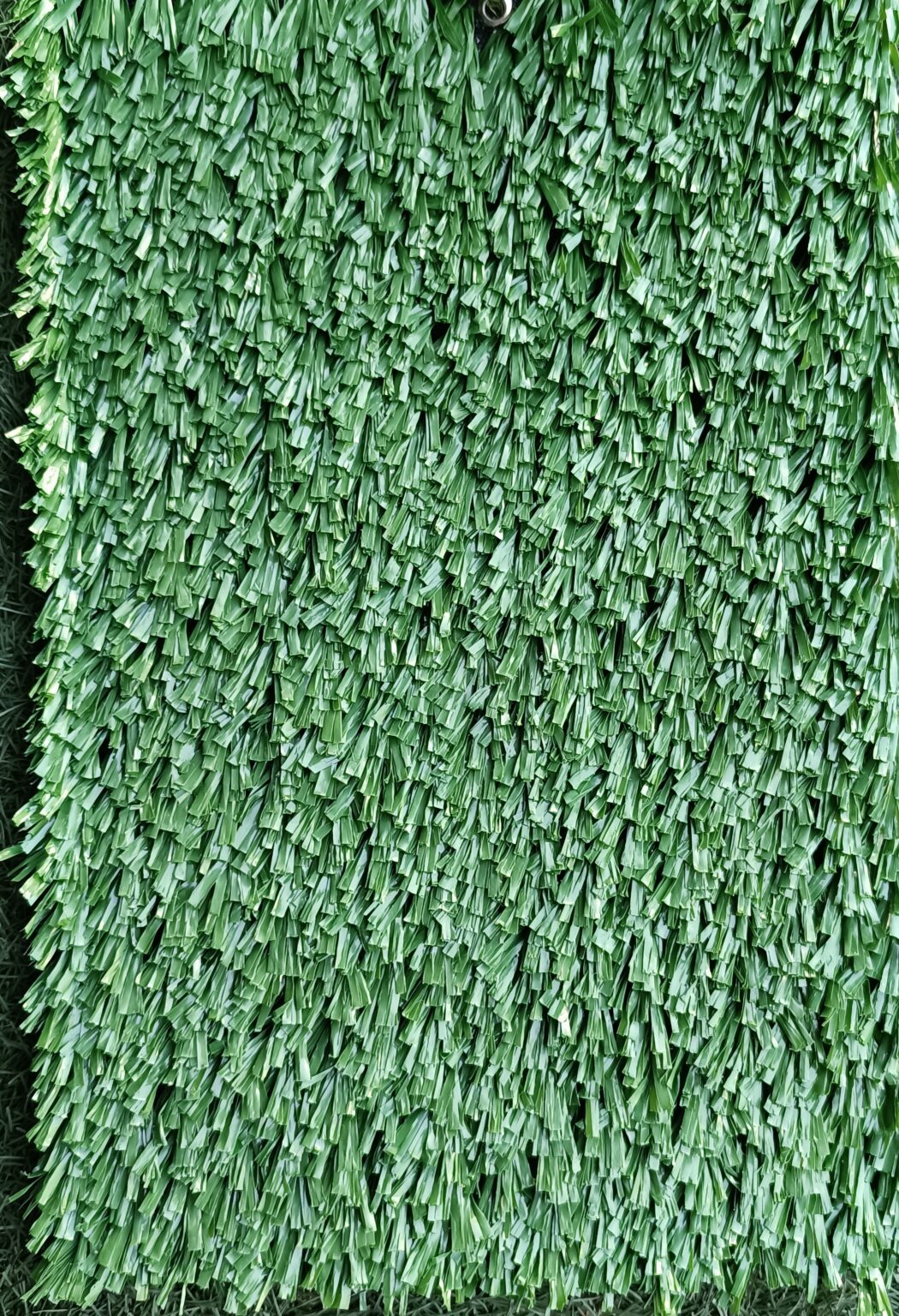 DEPORTIVO VERDE
TGS-X7-30