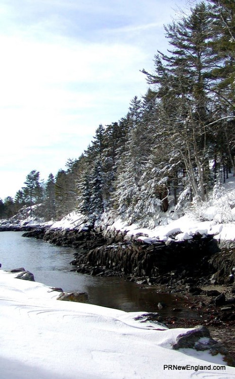 Wintertime on the Coast