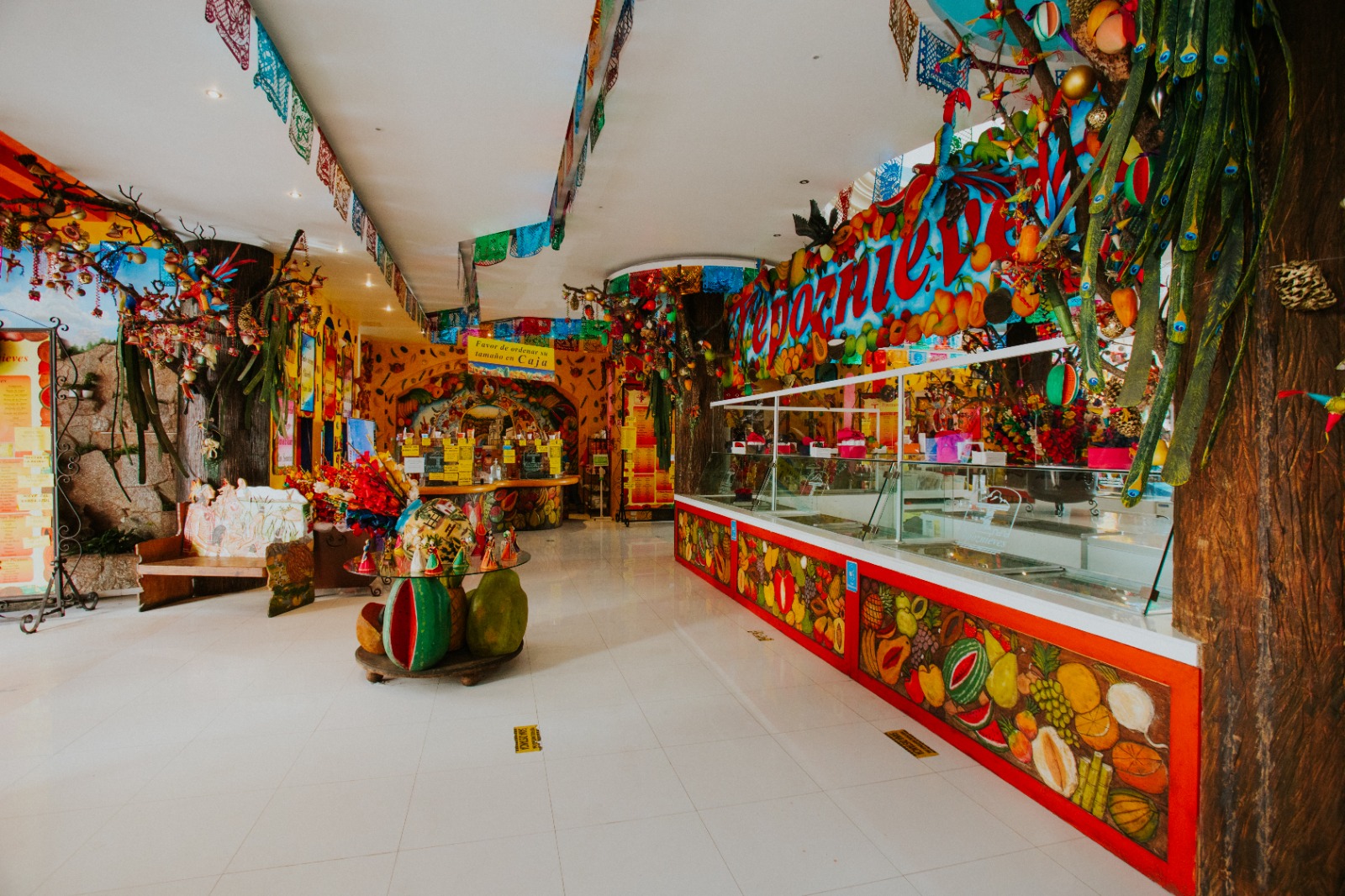 https://0201.nccdn.net/1_2/000/000/0de/e29/tepoznieves-7.jpeg