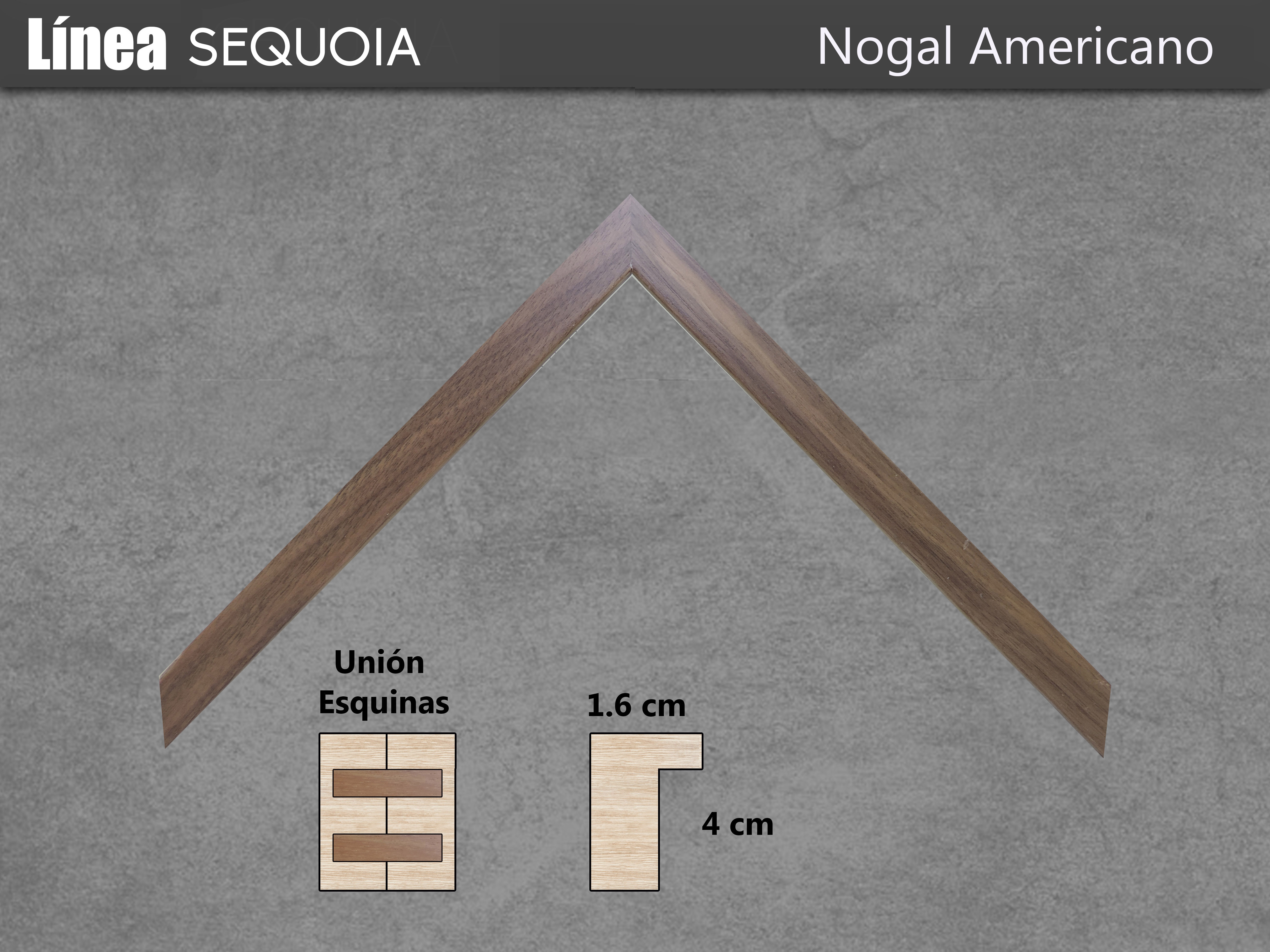 https://0201.nccdn.net/1_2/000/000/0de/ec7/Alta-Nogal-Americano-4896x3672.jpg