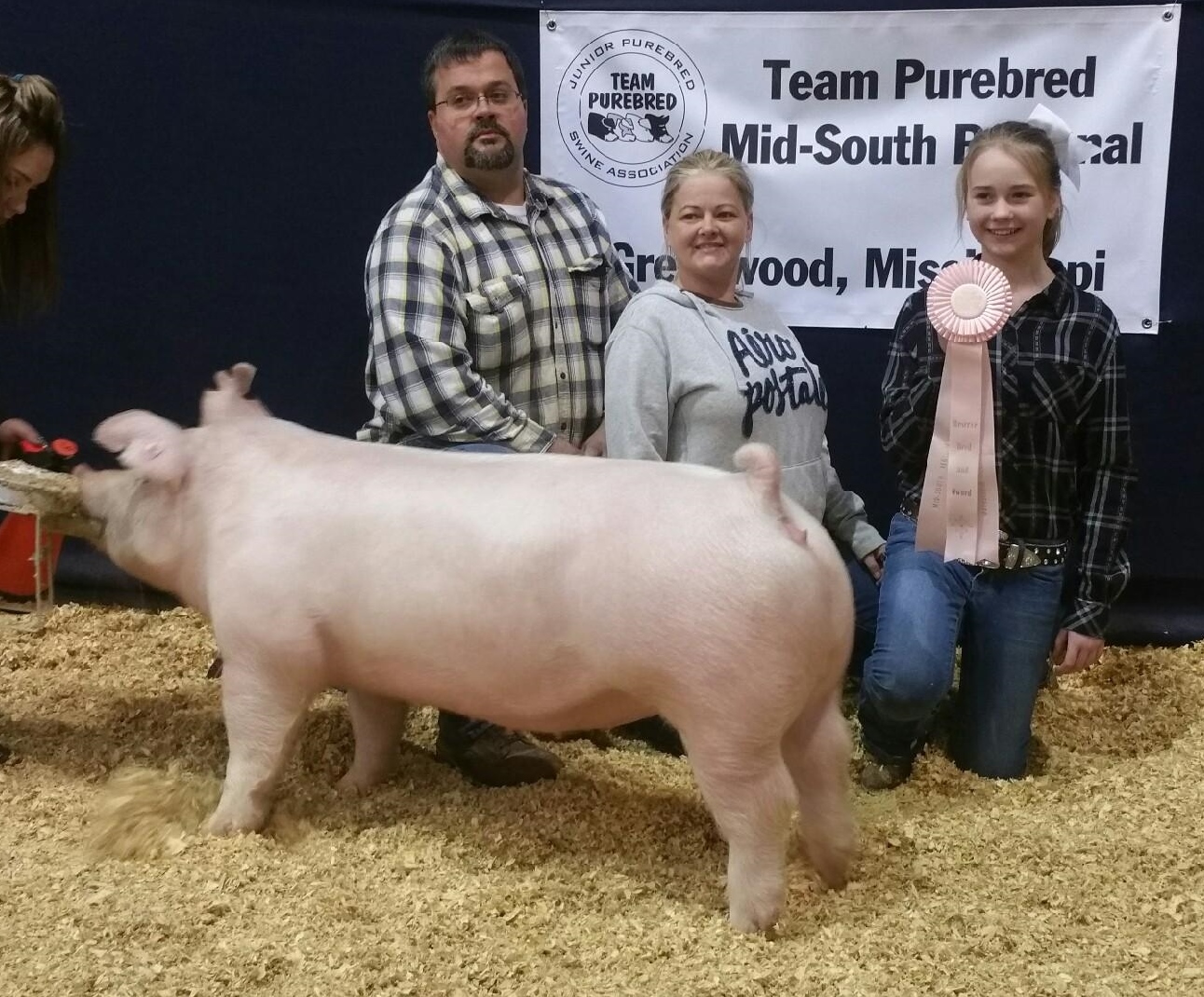 Hannah Sanders
2017 Team Purebred 
Southeastern Regional Show
Reserve Champion Bred and Owned
Bred by: Clay Prater and Hannah Sanders