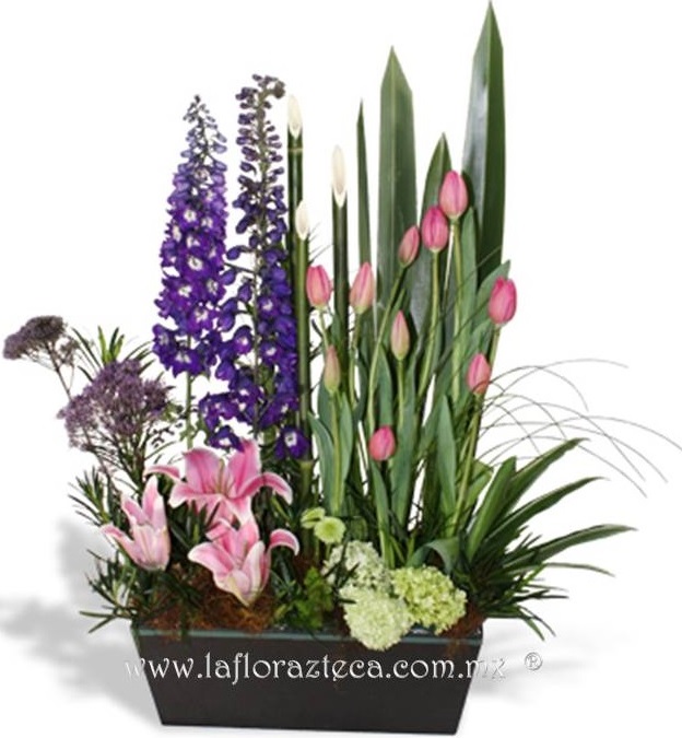 LFA-OT005
Precio $1,240