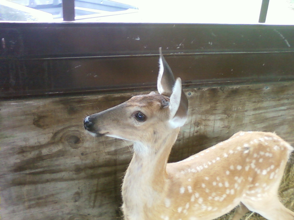 on his way to freedom!