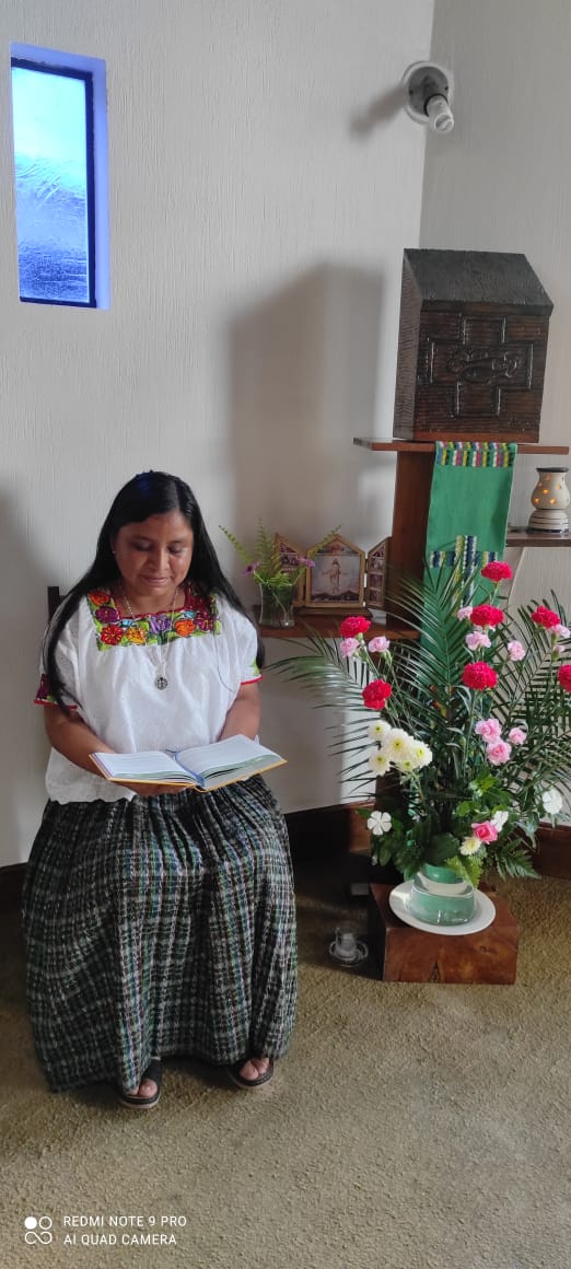 https://0201.nccdn.net/1_2/000/000/0df/1ff/noviciados.jpg