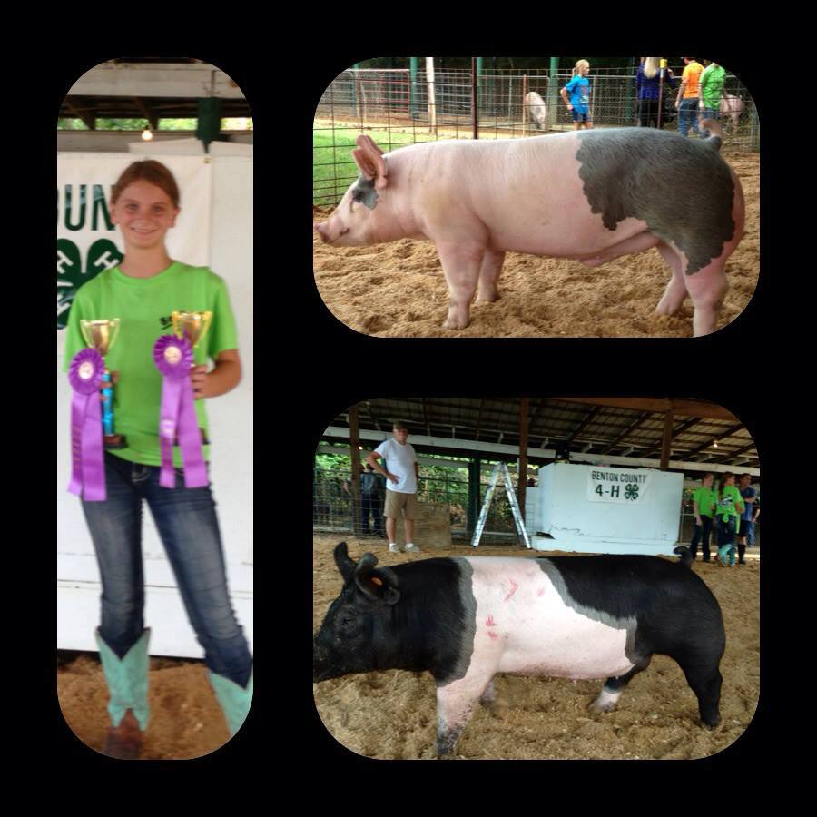 Amber Collins
Benton County Fair Champion & Reserve