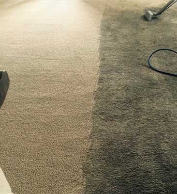 Carpet Restoration Before and After