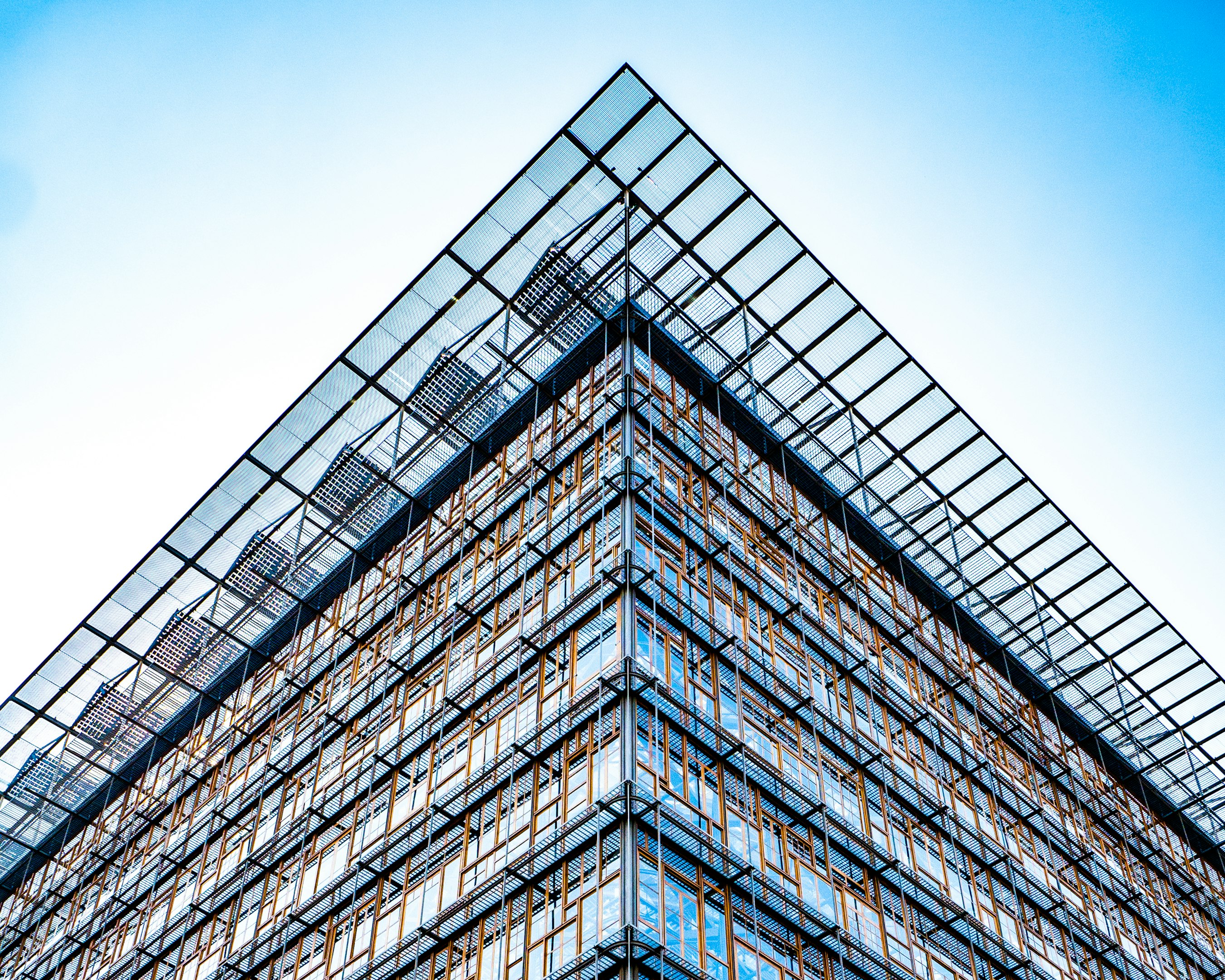 andamios en el edificio