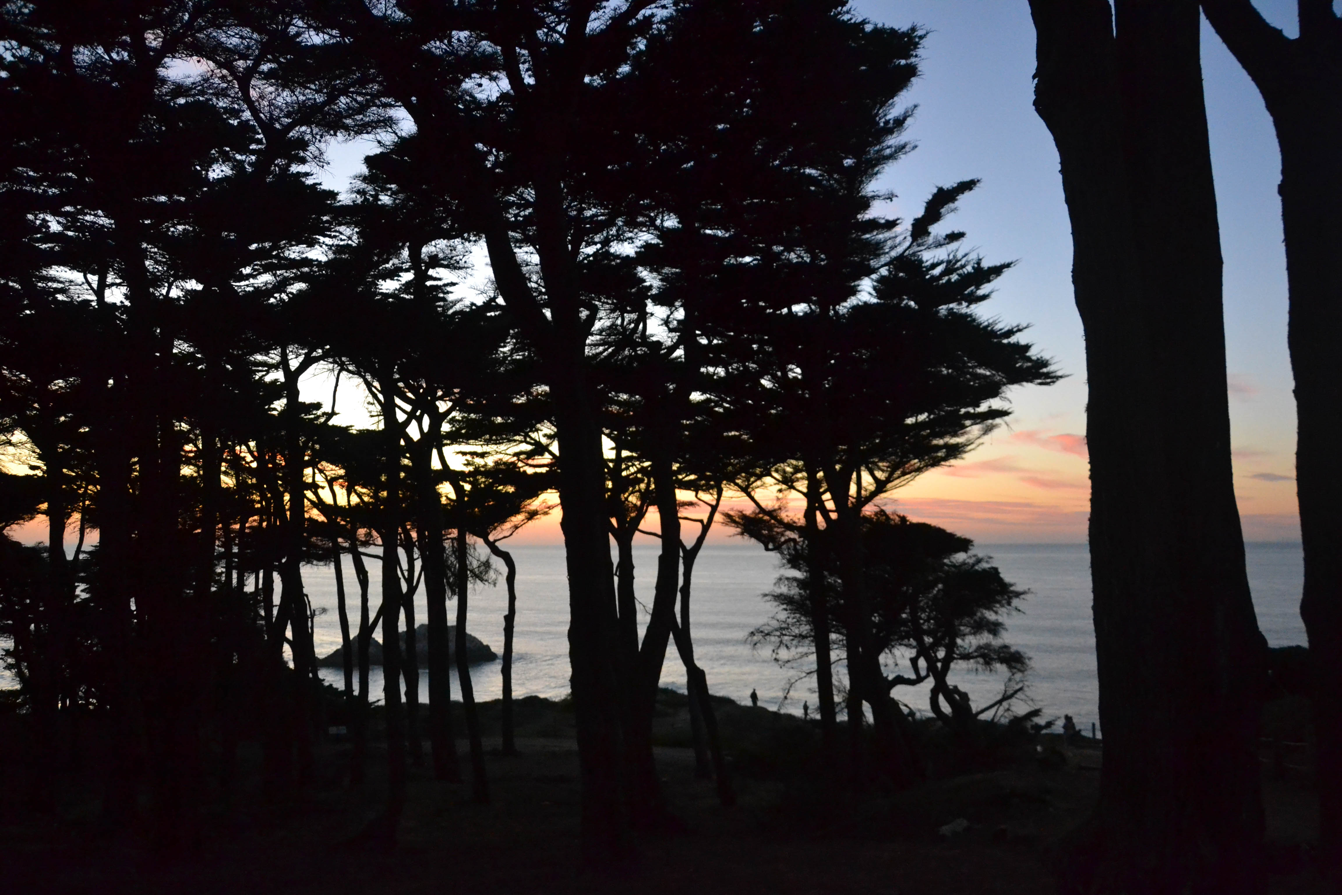https://0201.nccdn.net/1_2/000/000/0df/777/san-fran-order-2-80.jpg