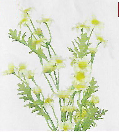 Yellow Wildflower Spray - Item # DHTC18907
21" tall. Packed 12.