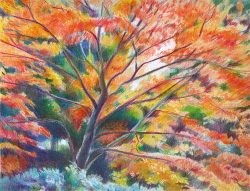 Red tree (Coloured Pencil 210mm x 297mm)