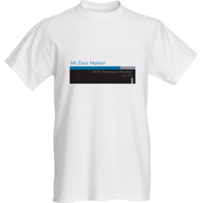 Men's T-shirt $15