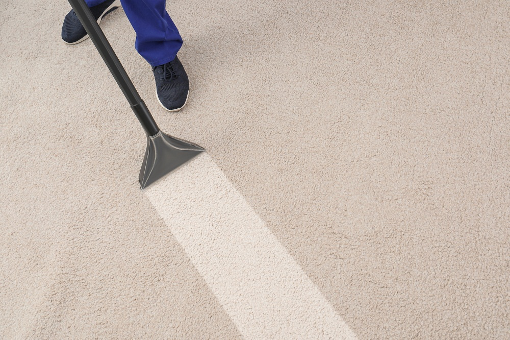 Things You Should Expect From A Carpet Cleaning Service