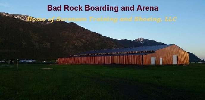 Bad Rock Boarding and Arena