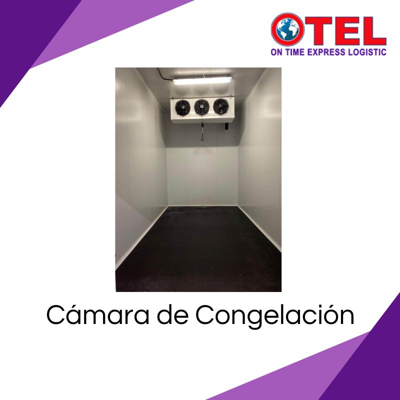https://0201.nccdn.net/1_2/000/000/0e1/290/camara-de-congelacion.jpg