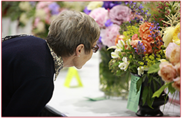 Our Rose Show displays a rainbow of colour and fragrance that attracts hundreds of visitors.