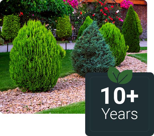 Landscaping of garden