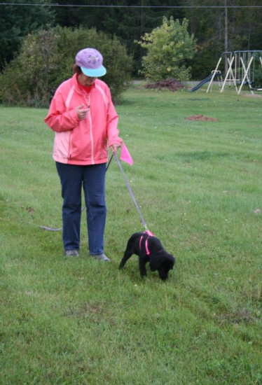 Bailey Starts Tracking