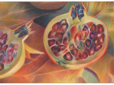 Pomegranate #2 (Coloured Pencil on Two Rivers) 210mm x 297mm