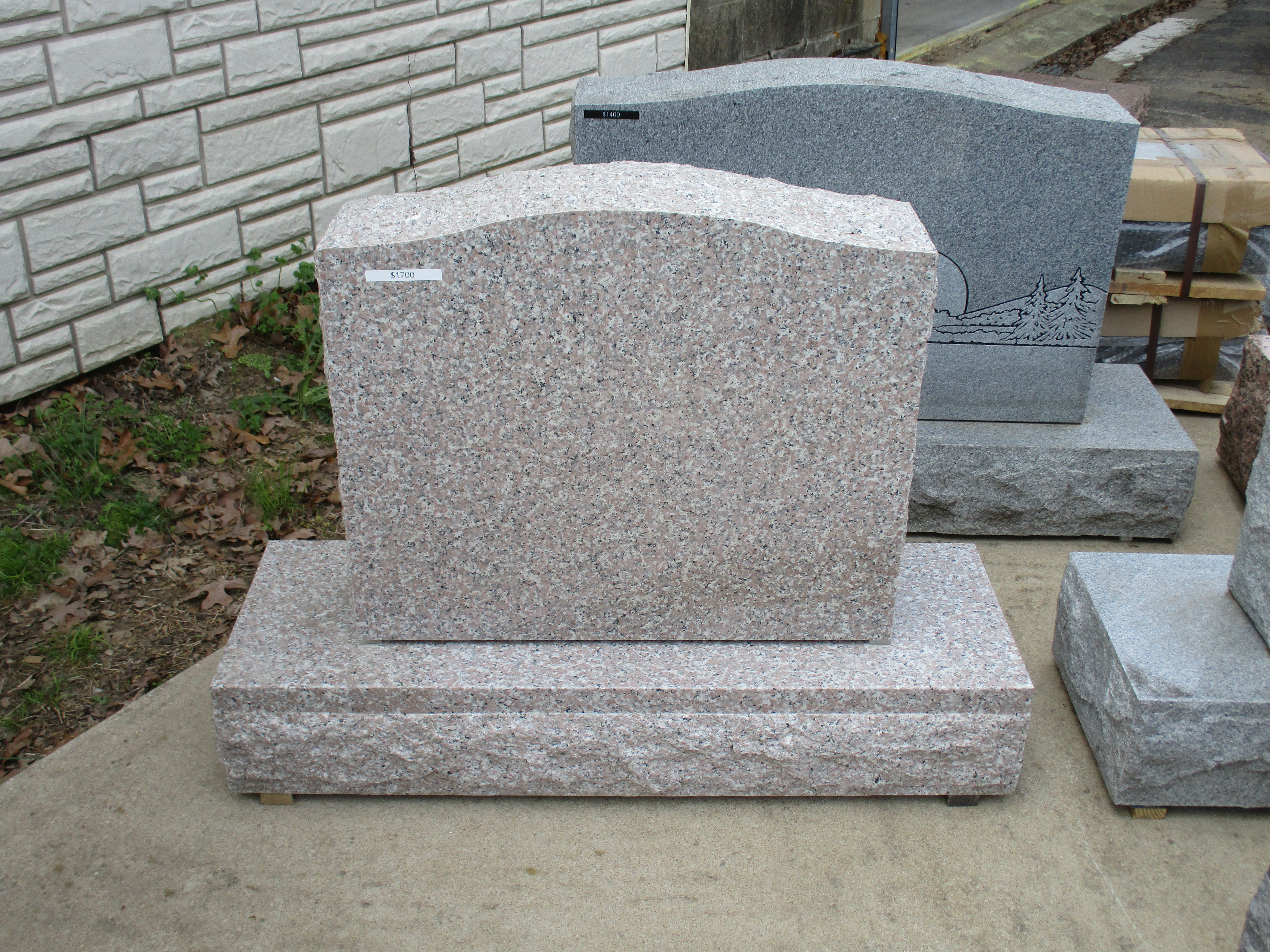 Seashell 2-0 Polished 2