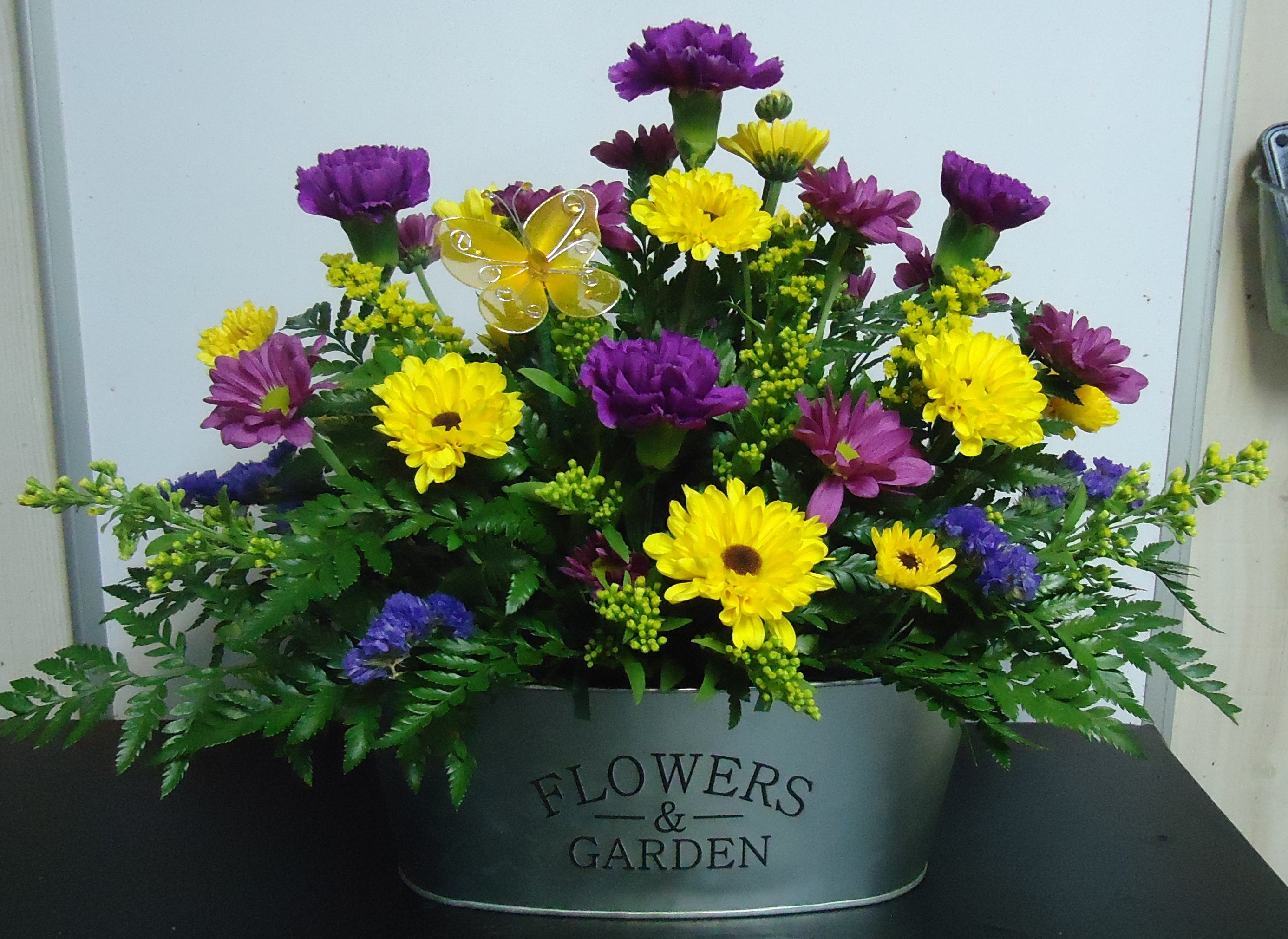 (5)  "Fresh" Mix Planter
(Colors May Vary Daily)
$50.00